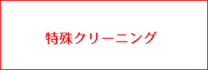 特殊クリーニングスマホボタン